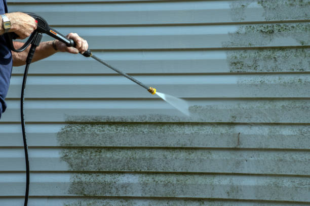 Best Roof Power Washing Services  in Excelsior, MN