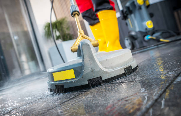 Best Exterior Home Cleaning  in Excelsior, MN
