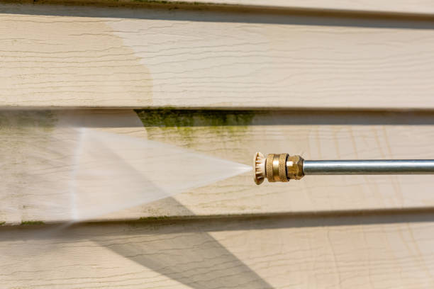 Best Affordable Power Washing  in Excelsior, MN
