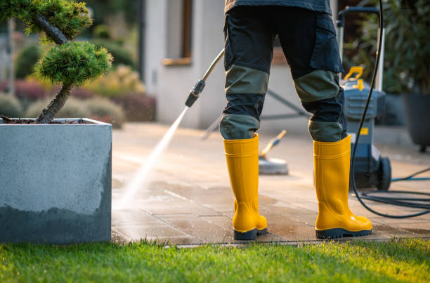 Best Affordable Power Washing  in Excelsior, MN